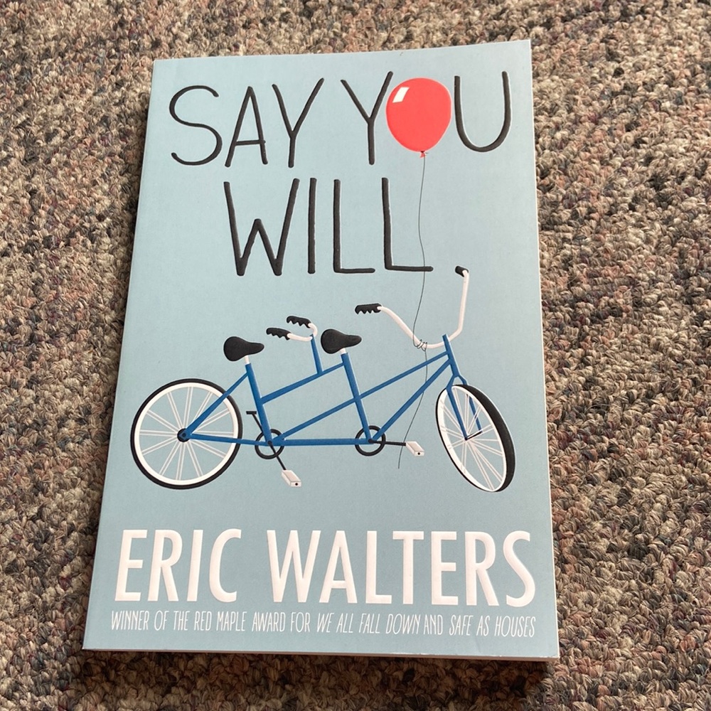 Say You Will by Eric Walters (paperback)